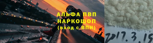 прущие грибы Верея